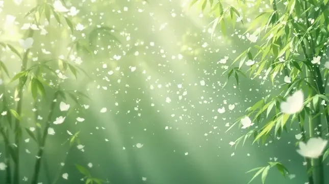 竹海晨雾 - 桃子视频竹影清风影像